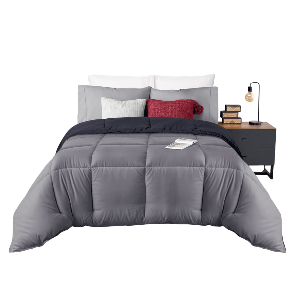 Pizarra