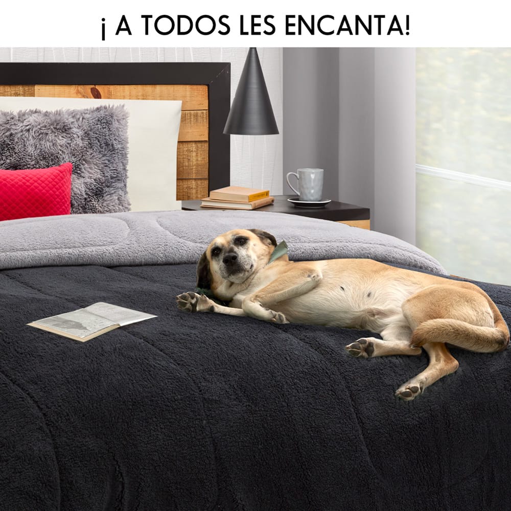 Bicolor Negro